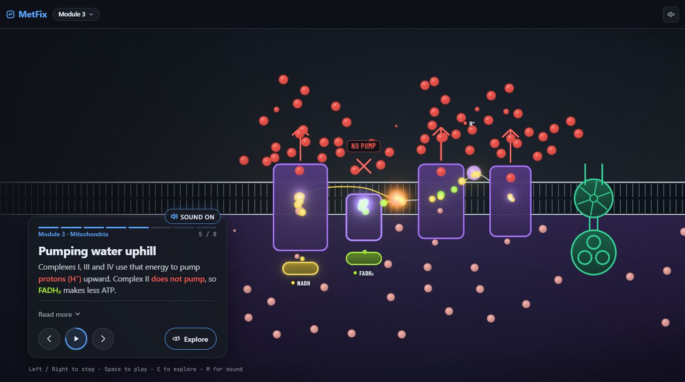 The MetFix Course, Now as Eight Animated Stories