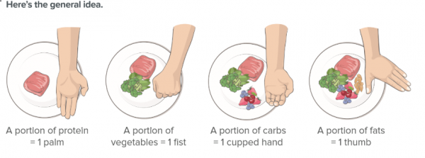 How to measure your food correctly? - Persistence Athletics