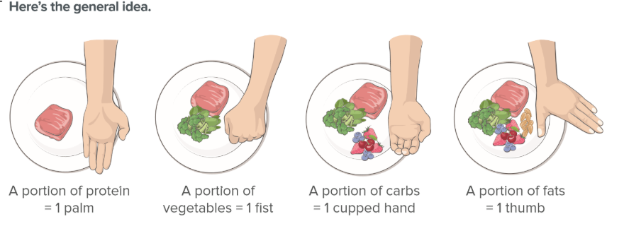 measuring food portions
