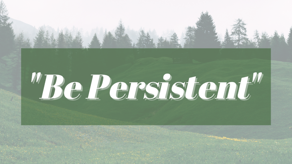 our-first-core-value-be-persistent-persistence